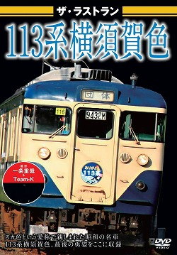 ザ・ラストラン　１１３系横須賀色