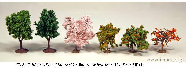 ２４－０８２　桜の木　　　　５０ｍｍ