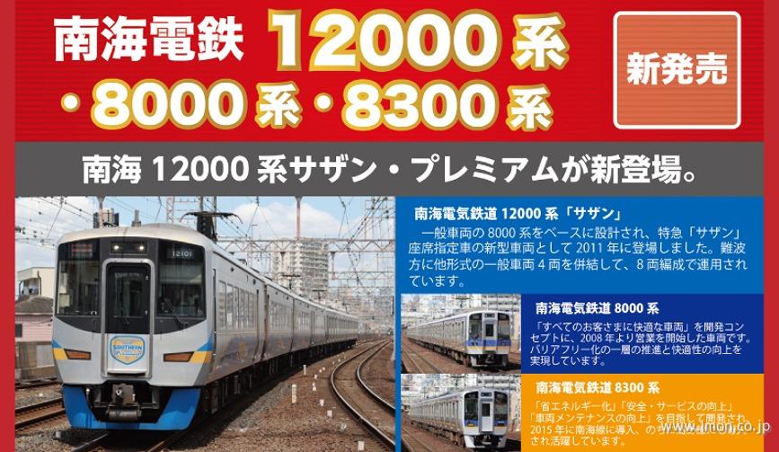 南海１２０００系＋８０００系５次車【サザン】８輌