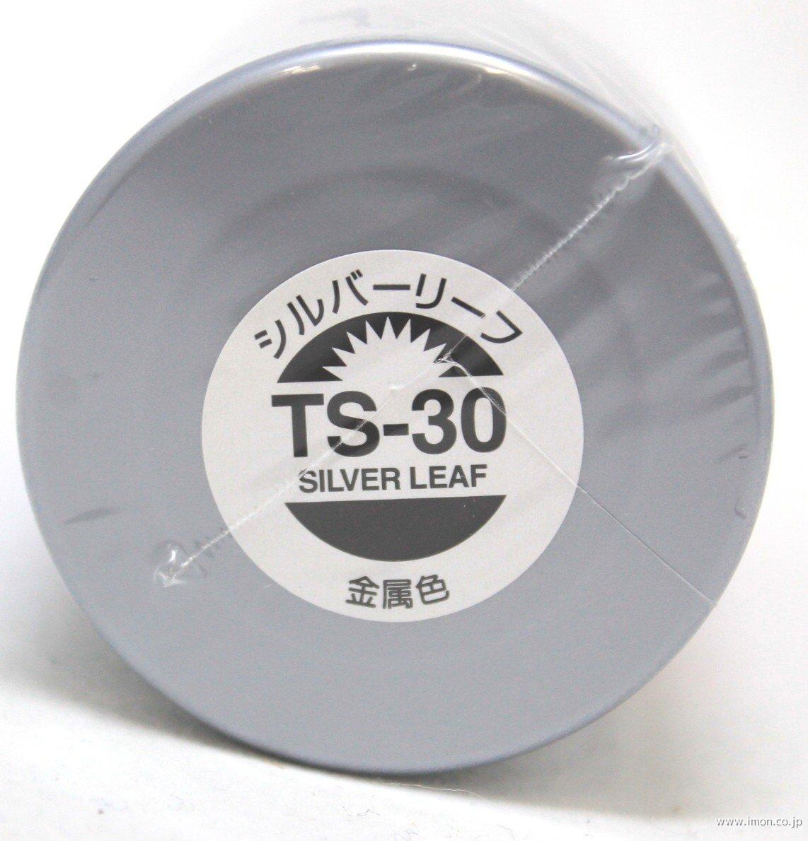 ＴＳ３０　シルバーリーフ　ラッカー