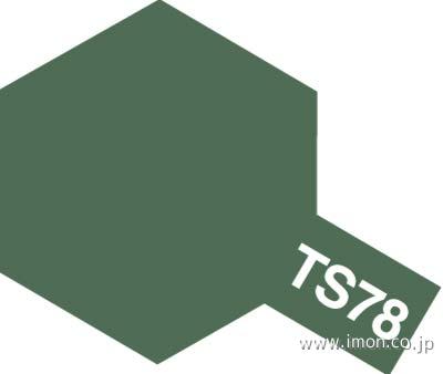 ＴＳ　７８　フィールドグレイ