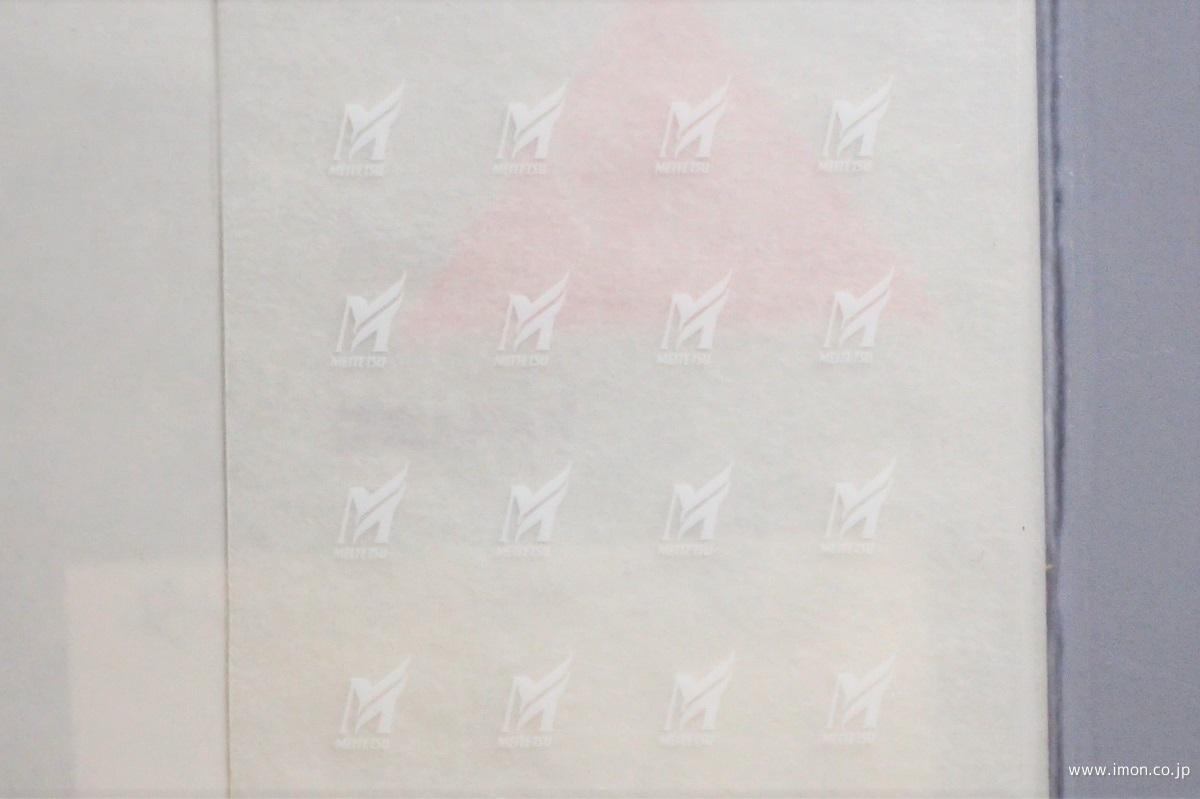 名鉄マークインレタ　白