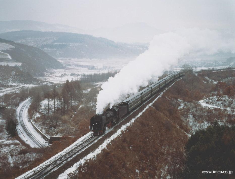 �V�����[�v���s���}�씭���O�]�s�����ʗ��